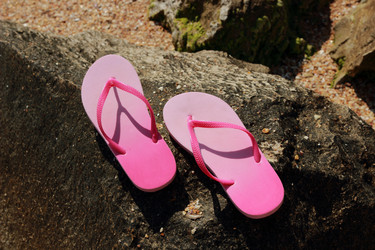 Similar image 11497876