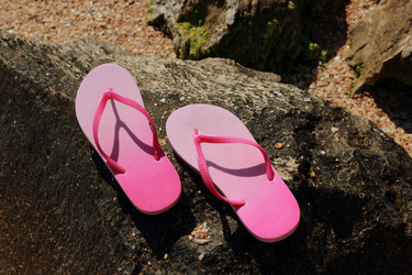 Similar image 11497877