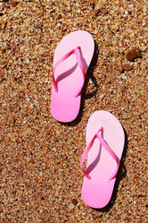 Similar image 11497952