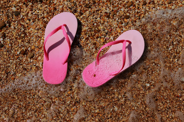 Similar image 11497975