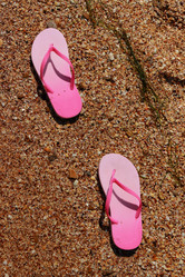 Similar image 11498093