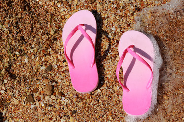 Similar image 11498094