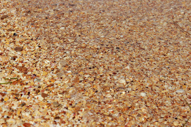 Similar image 11498095