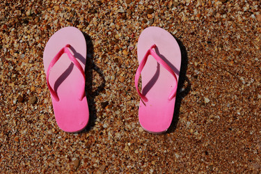 Similar image 11498168