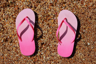 Similar image 11498169