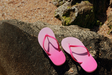 Similar image 11498135