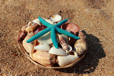 Similar image 11502335