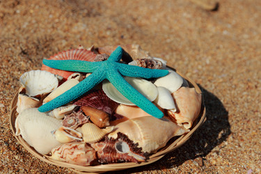 Similar image 11502336