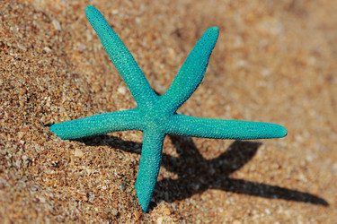 Similar image 11502338