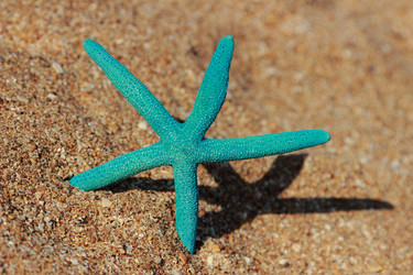 Similar image 11502372