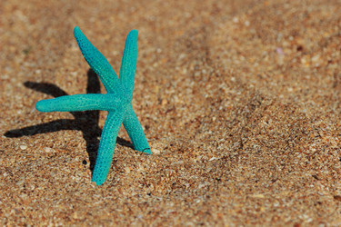 Similar image 11502353