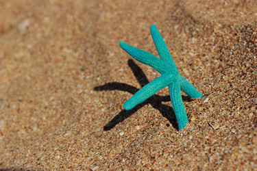 Similar image 11502394