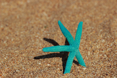 Similar image 11502515