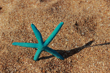 Similar image 11502516