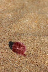 Similar image 11497062