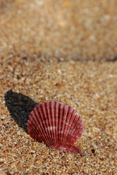 Similar image 11497039