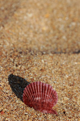 Similar image 11497040