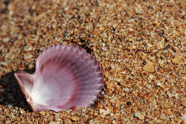 Similar image 11497082