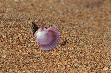 Similar image 11497202