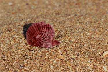 Similar image 11509219