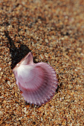 Similar image 11509220