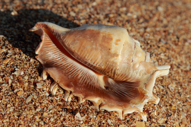 Similar image 11497222