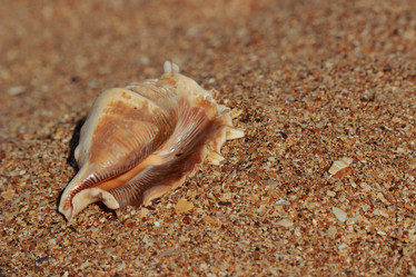 Similar image 11509221