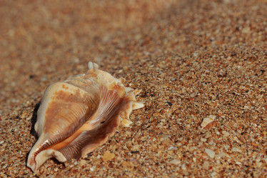 Similar image 11497100