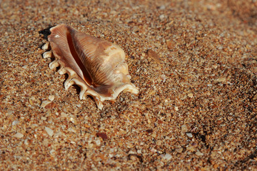 Similar image 11497102