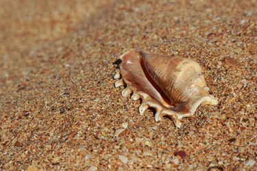 Similar image 11497243