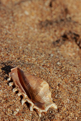 Similar image 11497244