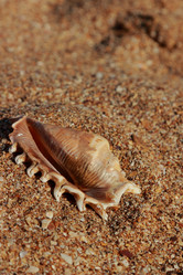 Similar image 11497180