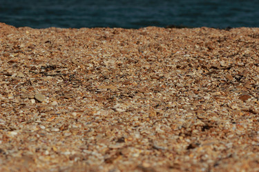 Similar image 11497182