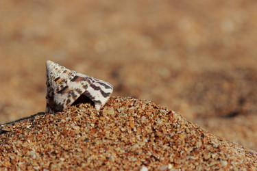 Similar image 11497122