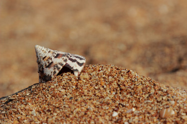 Similar image 11497123