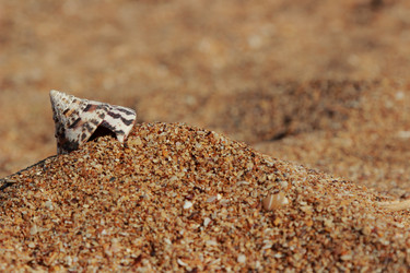 Similar image 11497142