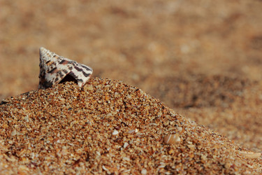 Similar image 11497143