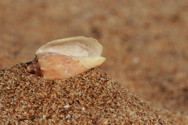 Similar image 11497602