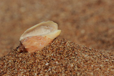 Similar image 11497603