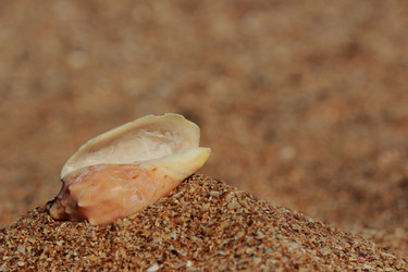 Similar image 11497508