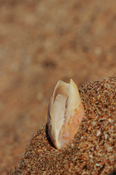 Similar image 11497510