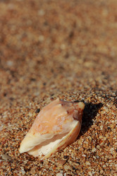 Similar image 11497523