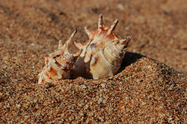 Similar image 11497525