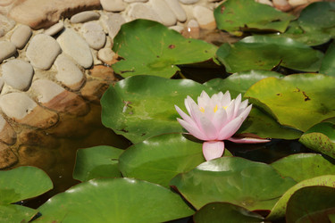 Similar image 11497567