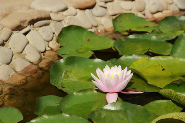 Similar image 11497568