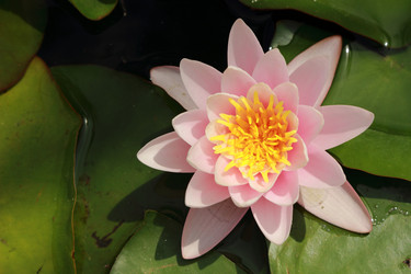 Similar image 11497587