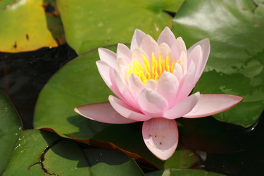 Similar image 11497622