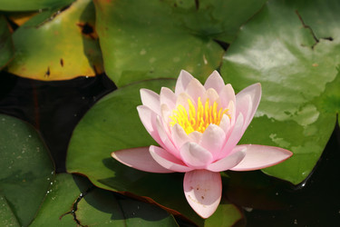 Similar image 11497623