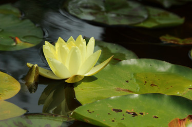 Similar image 11497647