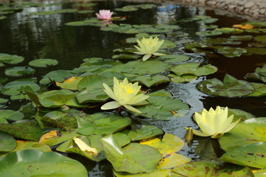 Similar image 11497667